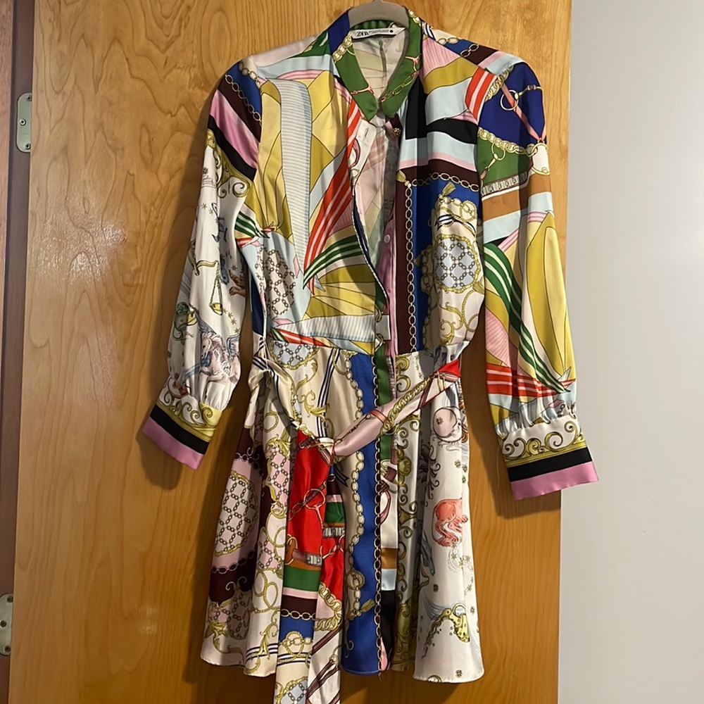 Zara Mini button up dress